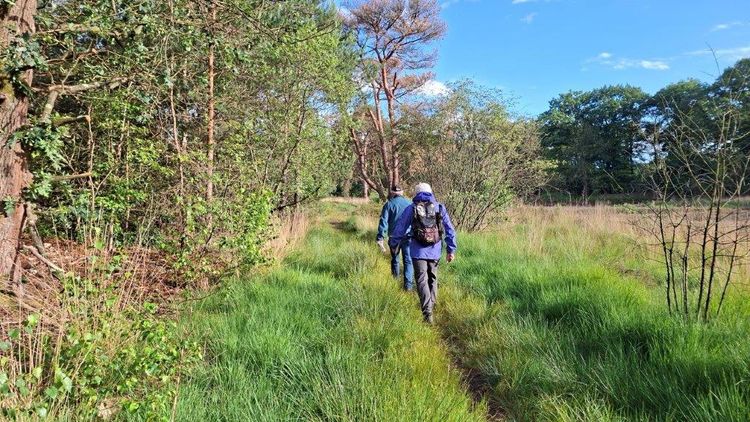 Wandelen vlakbij Valkenswaard