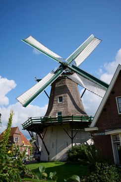 item-image