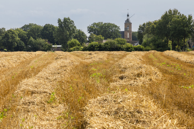 Das Dorf Ruinen im Westen von Drenthe.