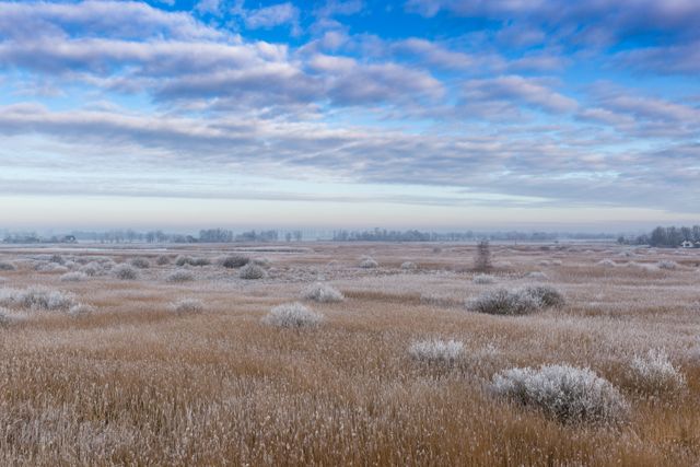 Alde Feanen