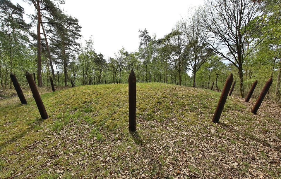 Grafheuvels Haarterheide