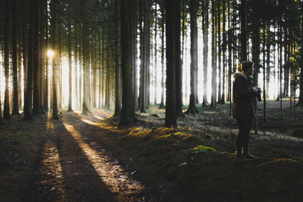 Een fotograaf staat midden in het bos met zijn camera.