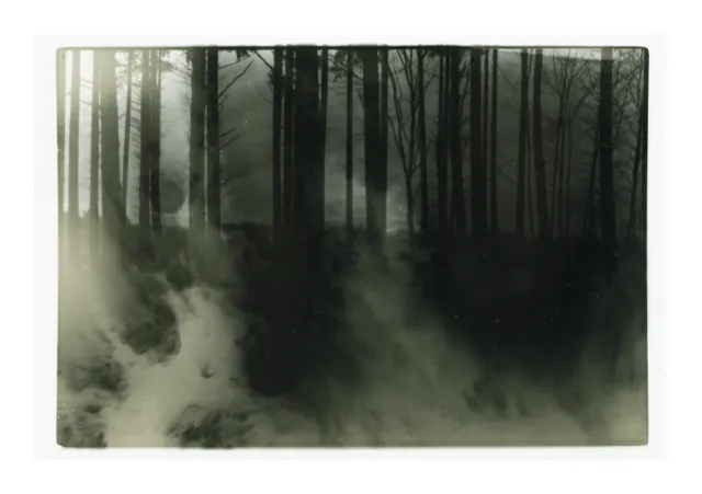 zwart wit werk met bomen van Melanie van der Linde