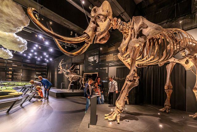 Bezoek aan Naturalis in Leiden