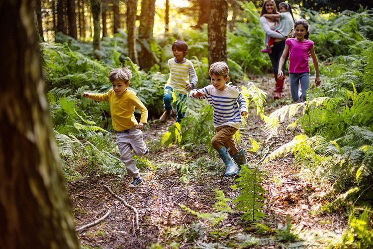 Kinderen die tussen bomen aan het rennen zijn en een vrouw met een kind die ze draagt, loopt achter de kinderen aan.