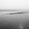 Fotoserie over Skylge | Terschelling