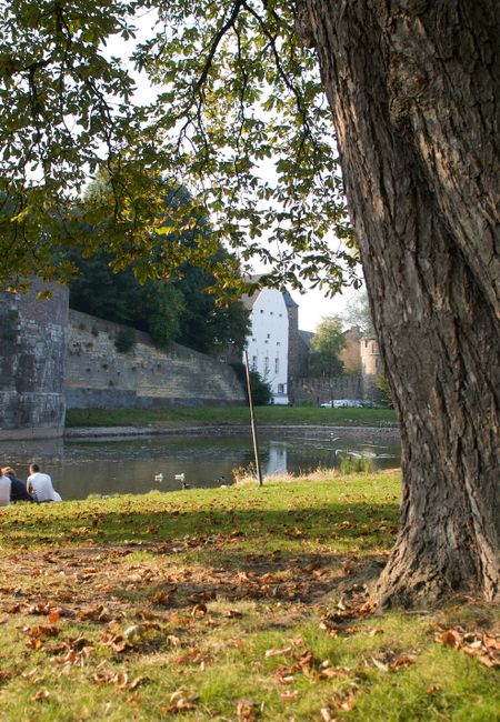 stadspark vijver picknicken jonathan vos maastricht marketing