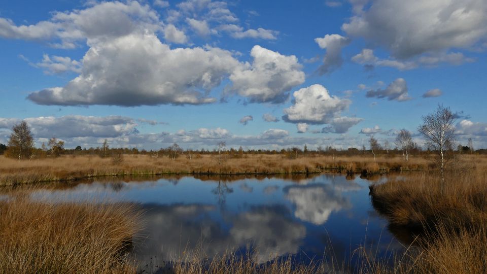 De Groote Peel herfst