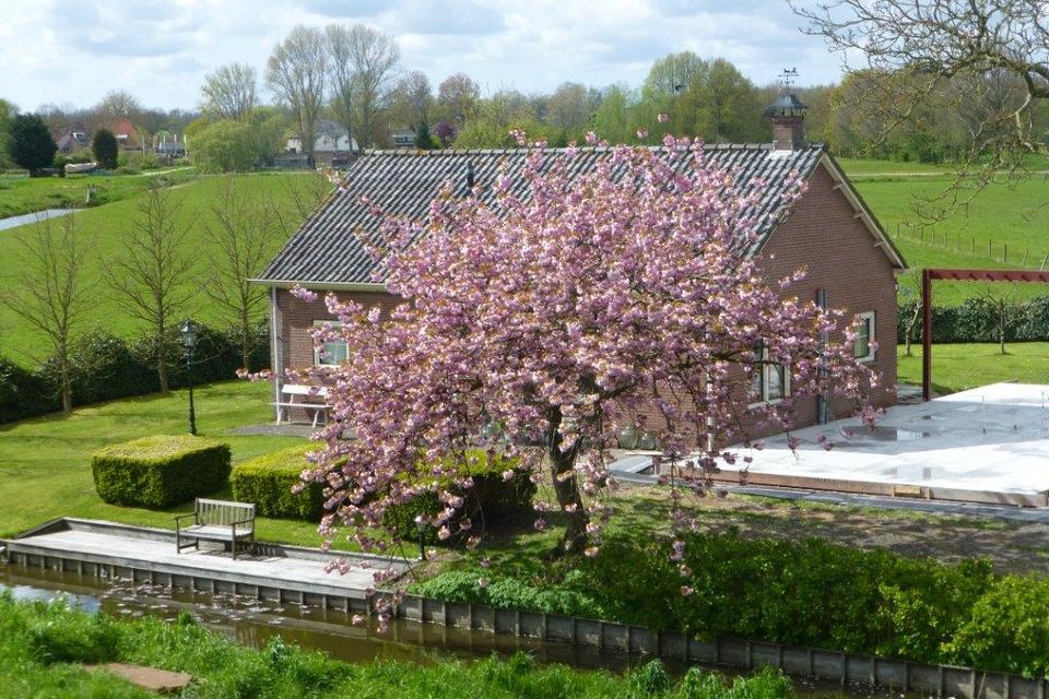 Bloesemboom in bloei