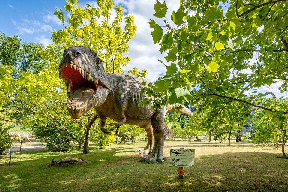 Oertijdmuseum dino close up