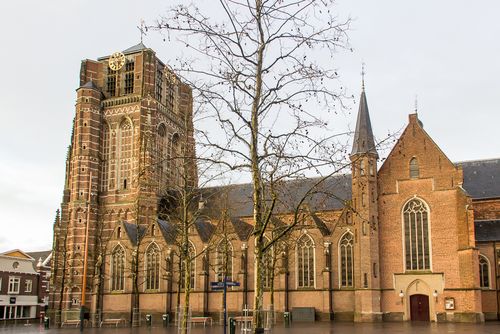 Basiliek 2008