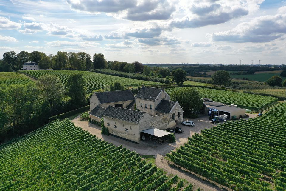 Vineyard Apostelhoeve Maastricht