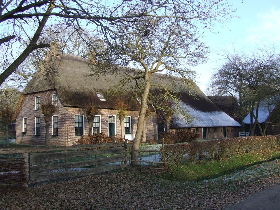 Orvelte