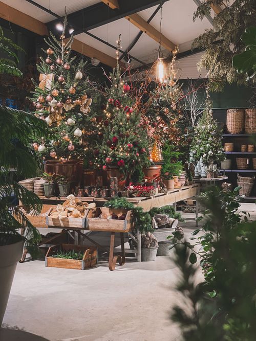 STERK Winterwinkel 2025