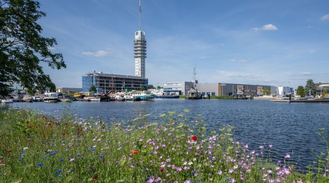 Rijnhaven & De Werf | Hier is Alphen