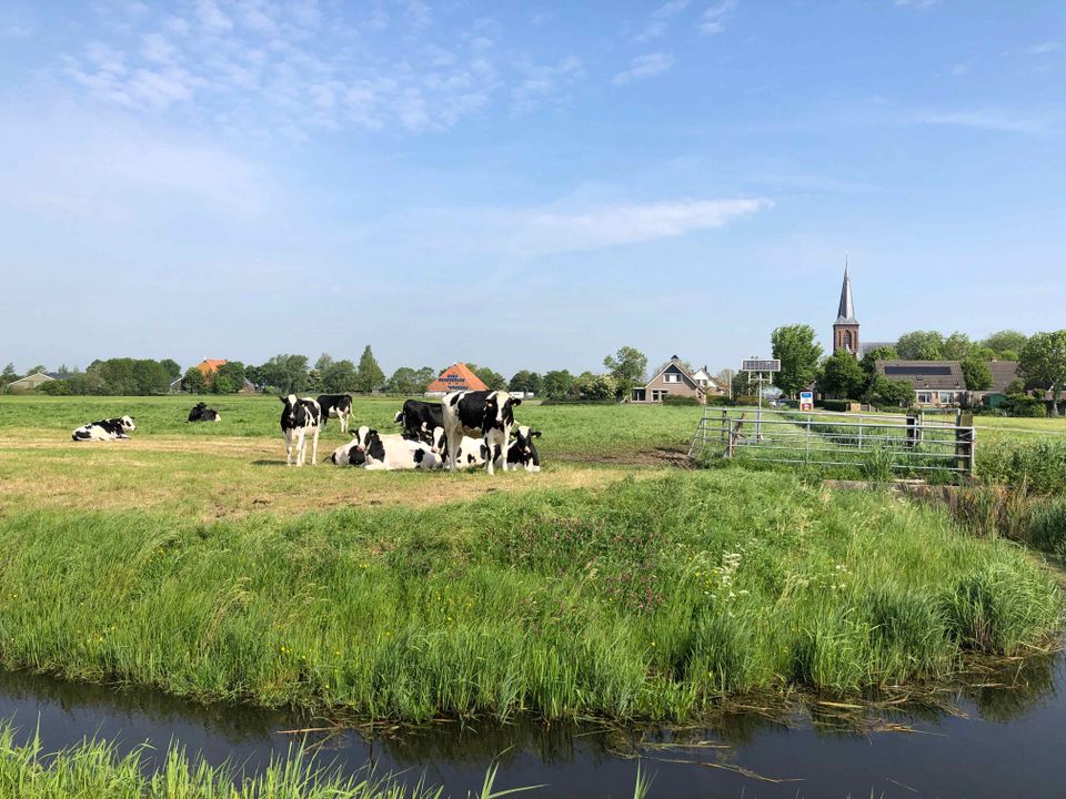 Reahûs Roodhuis Friesland