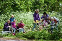 IVN wandelingen