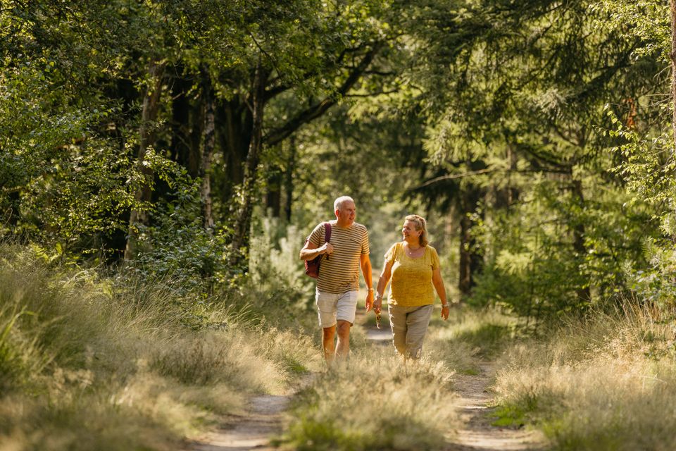 Wandelaars in het Land van de Peel