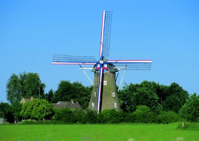 Molen Johanna Elisabeth, Vlierden