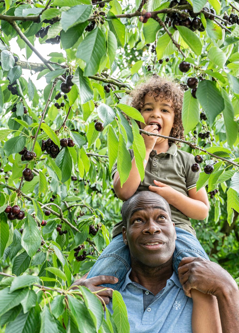 Fruit plukken Vader en kind