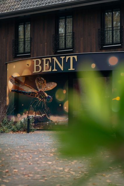 Foto van een Libelle met op de achtergrond de naam Bent.