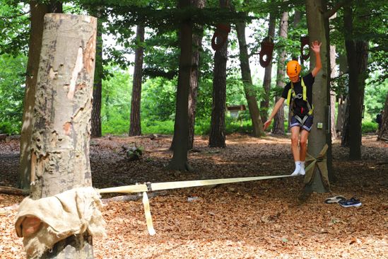 Rocks ’n Rivers Treetop Adventure Park | VisitBrabant