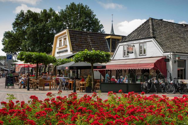 Vol terras met bloemen brink Diever.