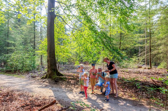 wandeling, nphv, gezin