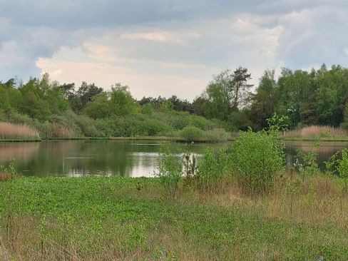 Booijsveen