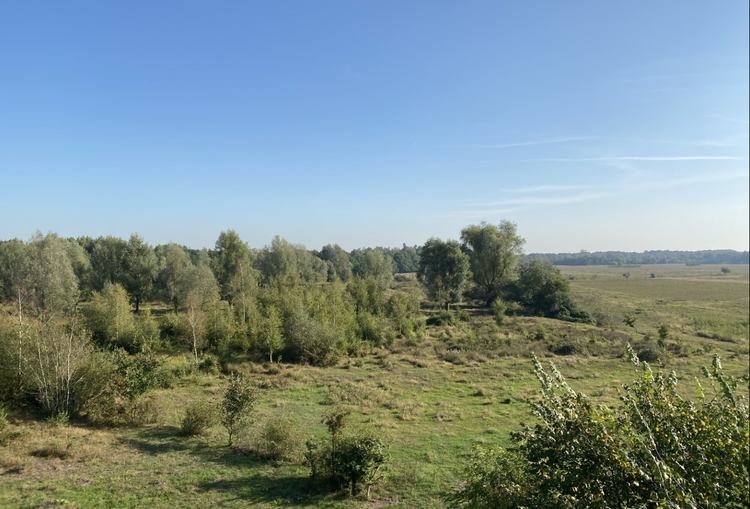 Natuurgebied Banisveld/Balsvoort