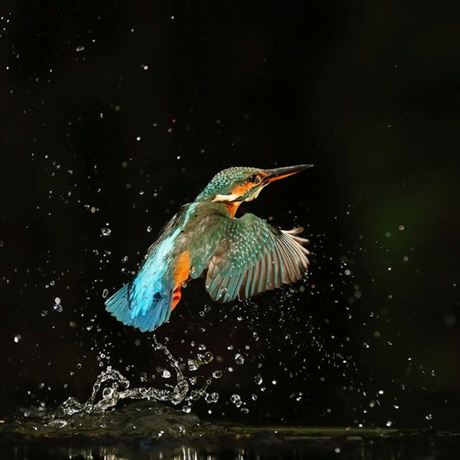 Lezing Yvonne van der Mey in Rozet (centrum) Arnhem