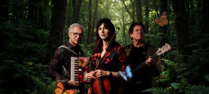 Programmering van Theater de Lievekamp