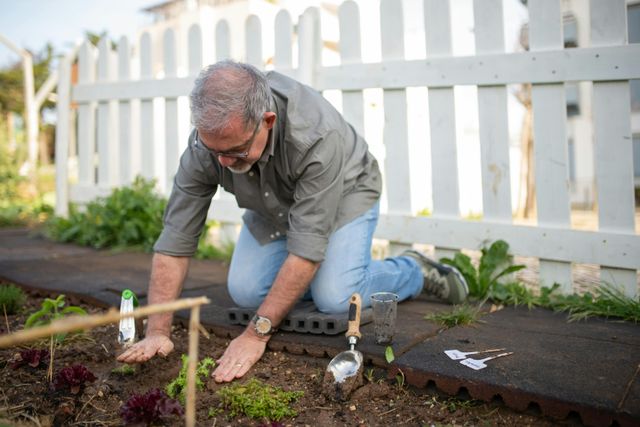 Geknield planten in de grond stoppen