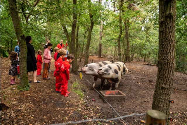 Farmcamps Hoeve Luyterheijde