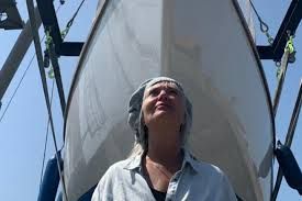 captain coelers