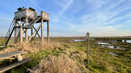 Uitkijktoren in natuurgebied Binnenveldse Hooilanden