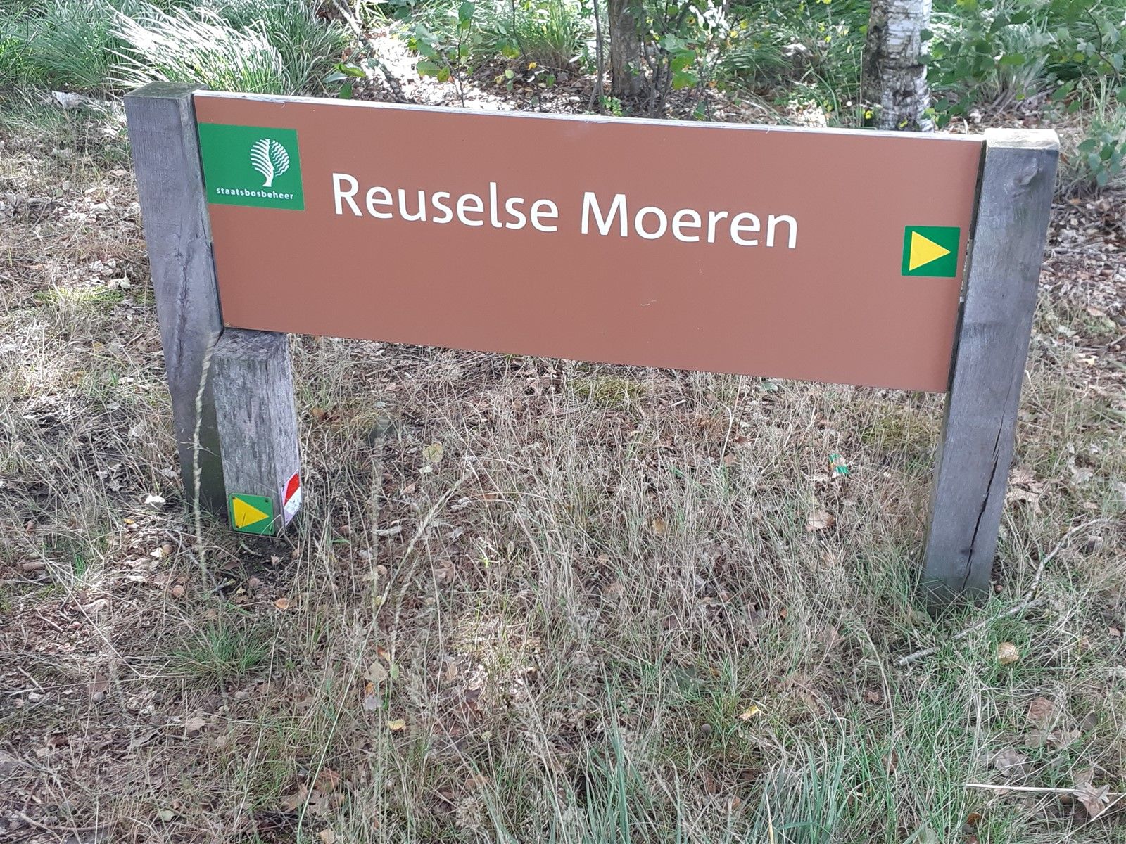 Reuselse Moeren