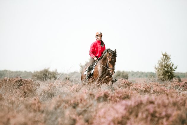 Paardrijden in het Groene Woud