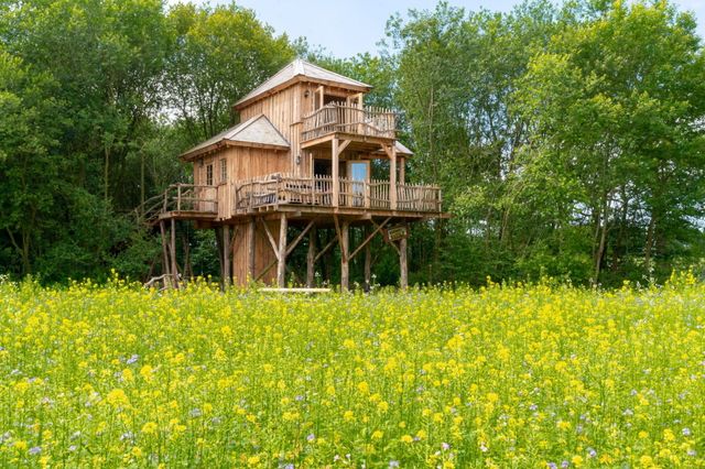 Een xxl boomhut staat voor de bomen in een veld vol gele bloemetjes.