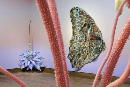 Tentoonstelling Wij zijn natuur
