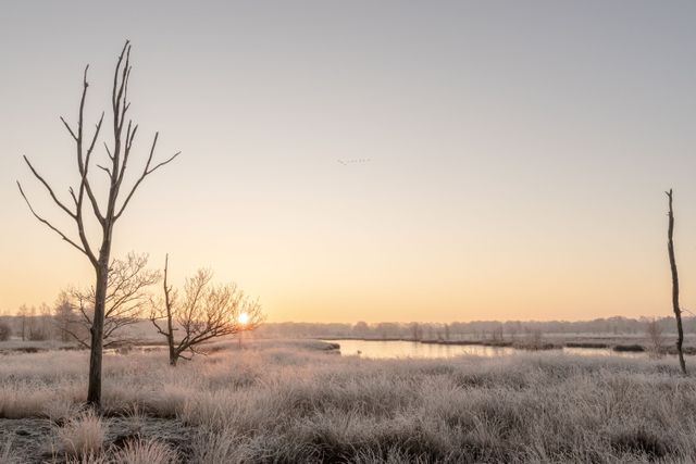 Eine winterliche Landschaft in Drenthe