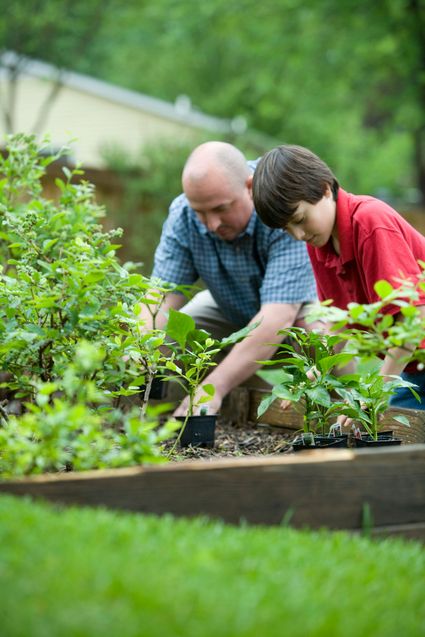 Foto van een vader en zoon die aan het tuinieren zijn.