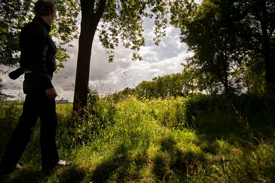 Door de Noordelijke Friese Wouden