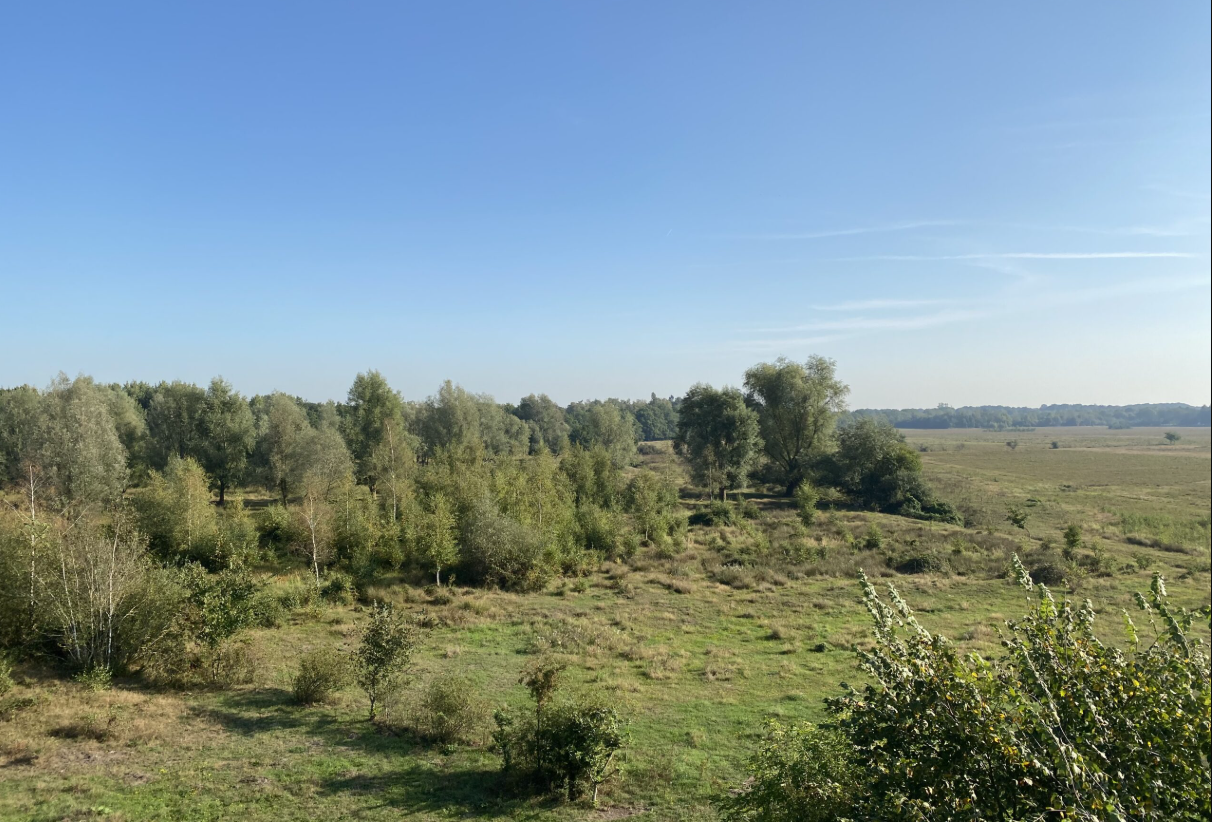 Natuurgebied Banisveld/Balsvoort
