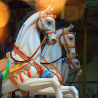 draaimolenpaardjes