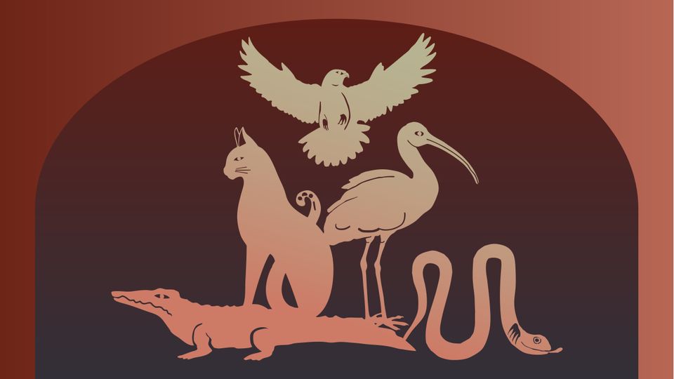 Gestileerd beeld van vijf dieren die in de expo te zien zijn: kat, valk, ibis, krokodil en slang.