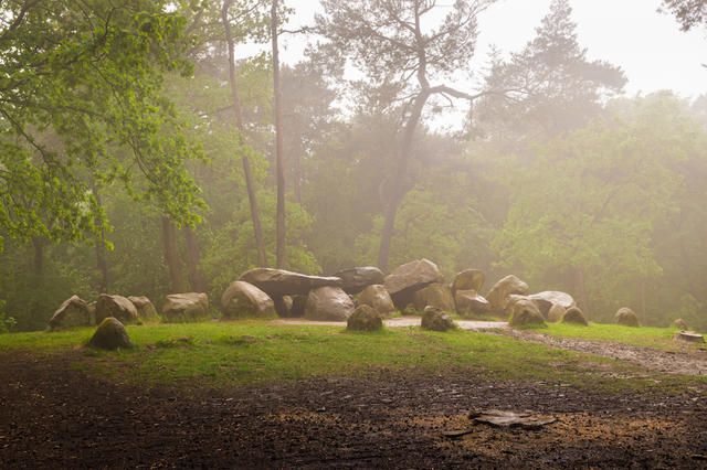 Ein Hünengrab im Wald der Emmerdennen in Drenthe.
