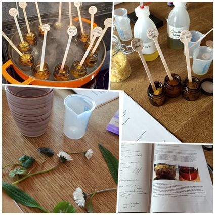 Workshops kruidenzalf maken