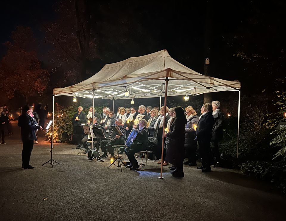 Licht op Noorderveld