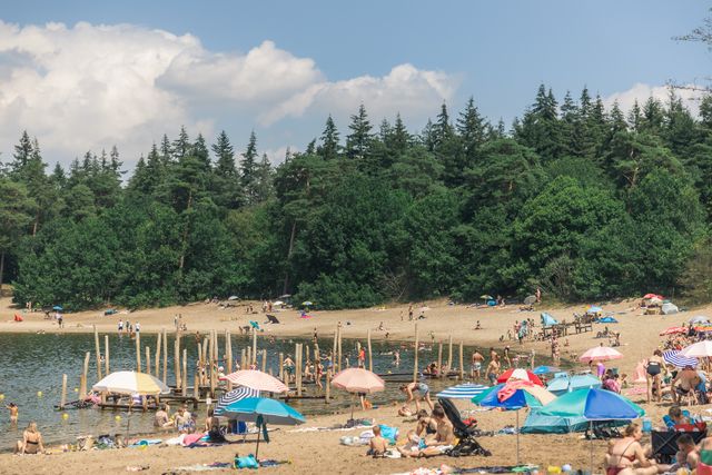 Bezoekers zwemmen en ontspannen op het zandstrand van het Henschotermeer bij Woudenberg. Het recreatiemeer ligt midden in de bossen van de Utrechtse Heuvelrug.
